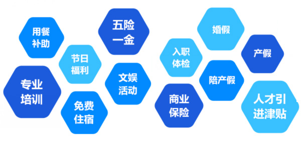 提供全面、系統(tǒng)、專業(yè)的培訓和廣闊的<br>職業(yè)發(fā)展空間和提升機會